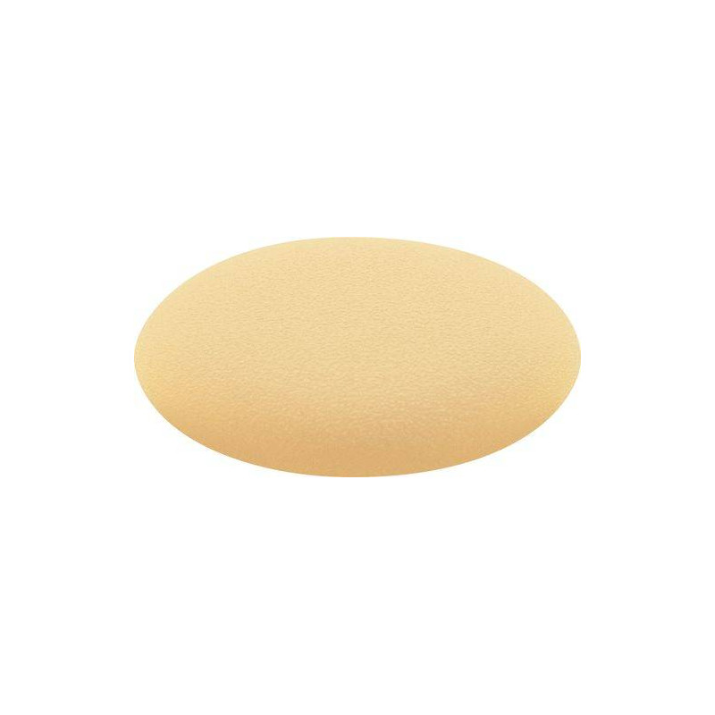 Festool  Osłona KV-AK D15 brn/50 203171