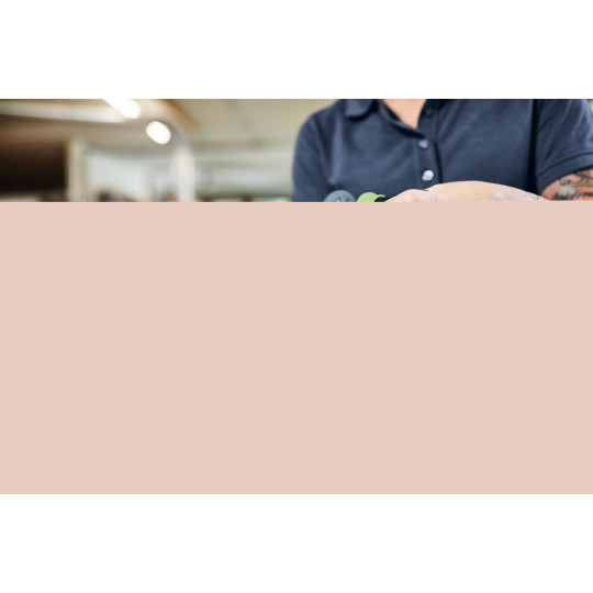 Festool Akumulatorowa wiertarko-wkrętarka TDC 18/4 5,0/4,0 I-Set QUADRIVE 577612